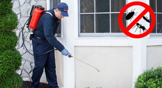 Ulukışla Karınca İlaçlama böcek ilaçlama ve haşere kontrolü — ilaclama-tr.com
